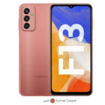 گوشی موبایل سامسونگ مدل Galaxy F13 دو سیم کارت ظرفیت 128 گیگابایت و رم 4 گیگابایت - پک هند اکتیو