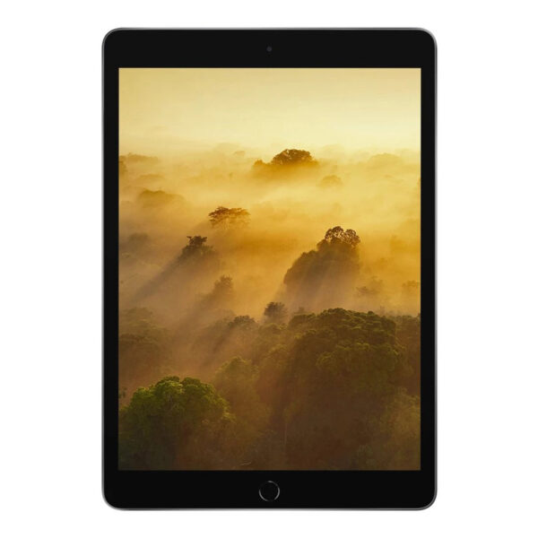 تبلت اپل مدل iPad (9th Generation) 10.2-Inch Wi-Fi 2021 ظرفیت 256 گیگابایت