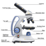 میکروسکوپ مدل BM-113 RT