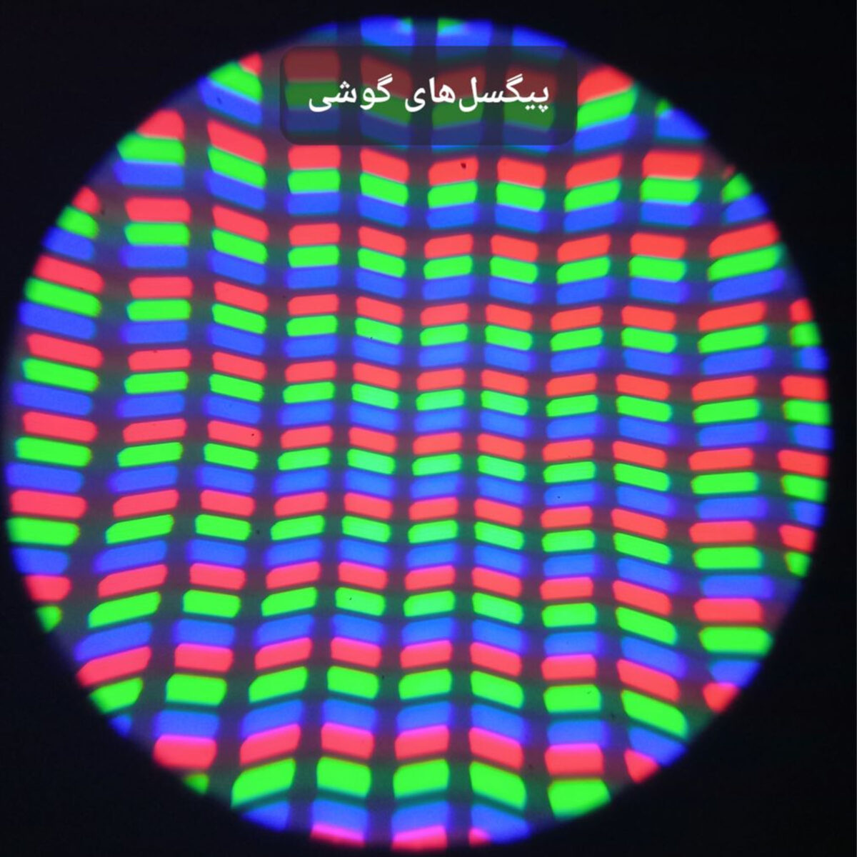 میکروسکوپ مدیک مدل زیستی کد 1280x NEW 2024