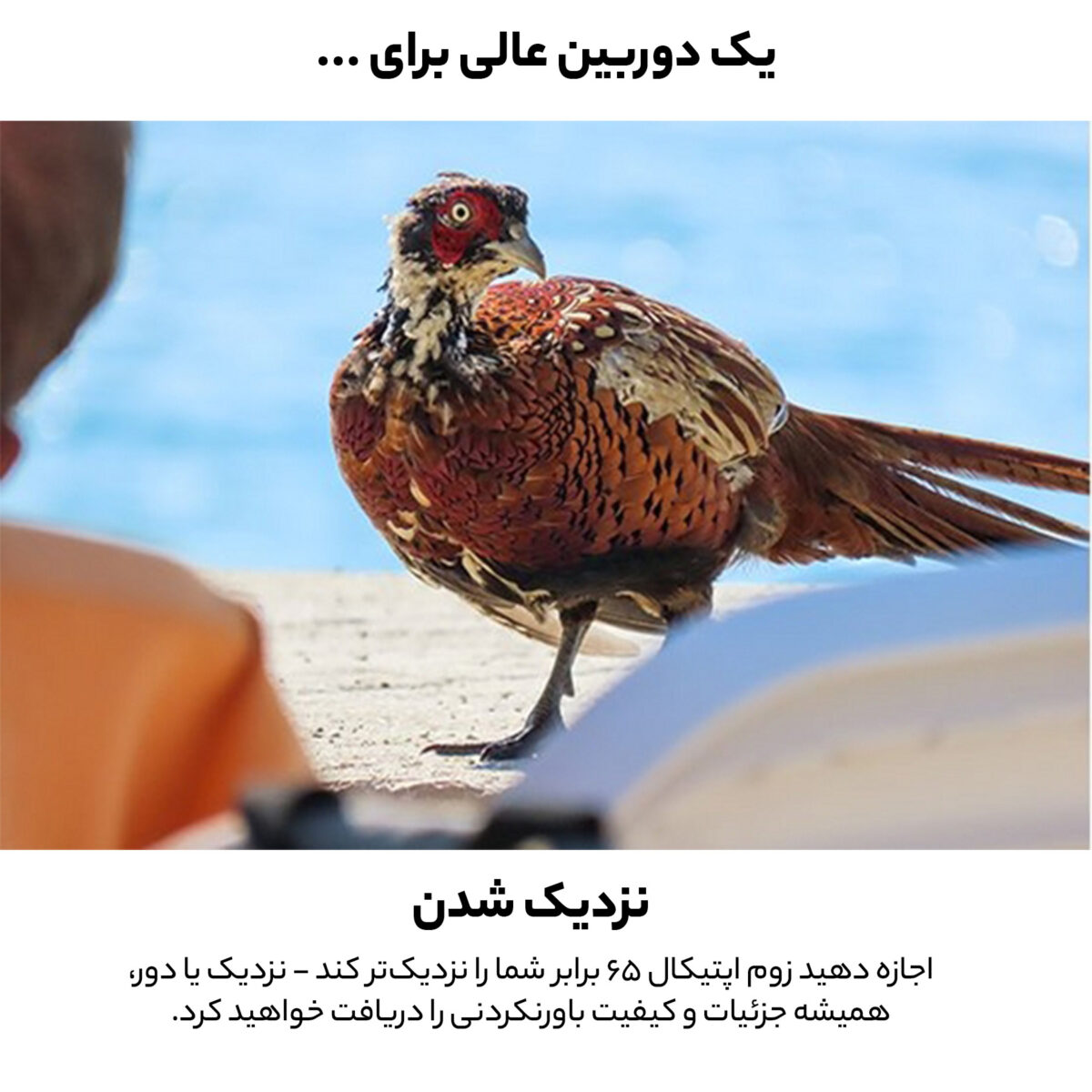 دوربین دیجیتال کانن مدل Powershot SX70 HS