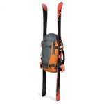 کوله پشتی دوربین لوپرو مدل Lowepro Powder Backpack 500 AW