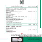 کیف لپ تاپ پِروین مدل LC-31 مناسب سرفیس 13 اینچی