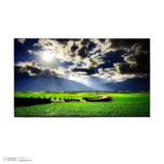 تلویزیون ال ای دی هوشمند تی سی ال مدل 43S5400 سایز 43 اینچ