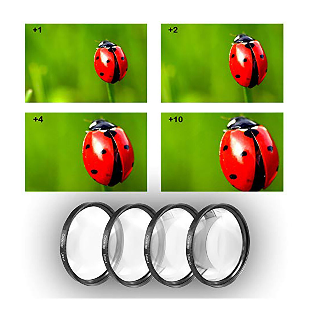 فیلتر لنز مارومی مدل CLOSE-UP  (+1,+2,+4)-62MM