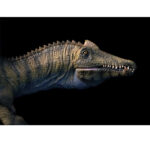 فیگور تی ان جی مدل دایناسور طرح Spinosaurus